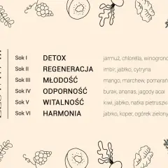 Dieta sokowa efekty: zestawy soków na detoks, regenerację, młodość, odporność, witalność i harmonię. Składniki: jarmuż, imbir, mango, burak, kiwi, jabłko.