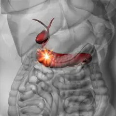 Anatomical illustration of the gallbladder and pancreas, with the pancreas highlighted in red and glowing.
