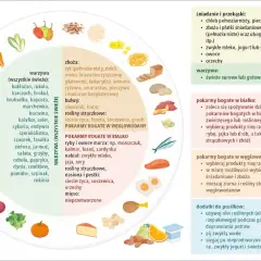 Ilustracja przedstawia koło z różnymi produktami spożywczymi, podzielone na kategorie: warzywa, zboża, bulwy, rośliny strączkowe, ryby, nabiał, jaja, mięso.