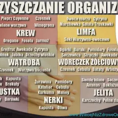 Grafika przedstawia schemat oczyszczania organizmu z podziałem na narządy i produkty spożywcze.
