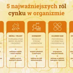Grafika przedstawia 5 kolumn z ikonami i tekstem opisującym role cynku: odporność, skóra/włosy, hormony, gojenie ran, synteza białek.