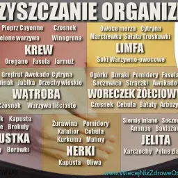 Grafika przedstawia schemat oczyszczania organizmu z podziałem na narządy i produkty spożywcze.