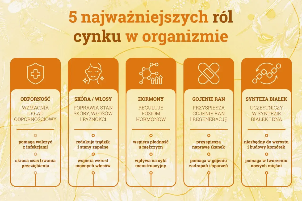 Grafika przedstawia 5 kolumn z ikonami i tekstem opisującym role cynku: odporność, skóra/włosy, hormony, gojenie ran, synteza białek.