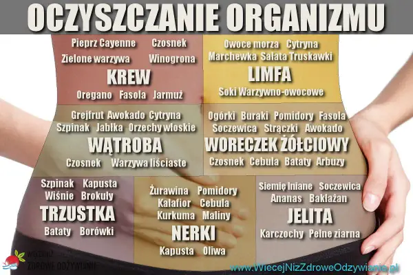 Grafika przedstawia schemat oczyszczania organizmu z podziałem na narządy i produkty spożywcze.